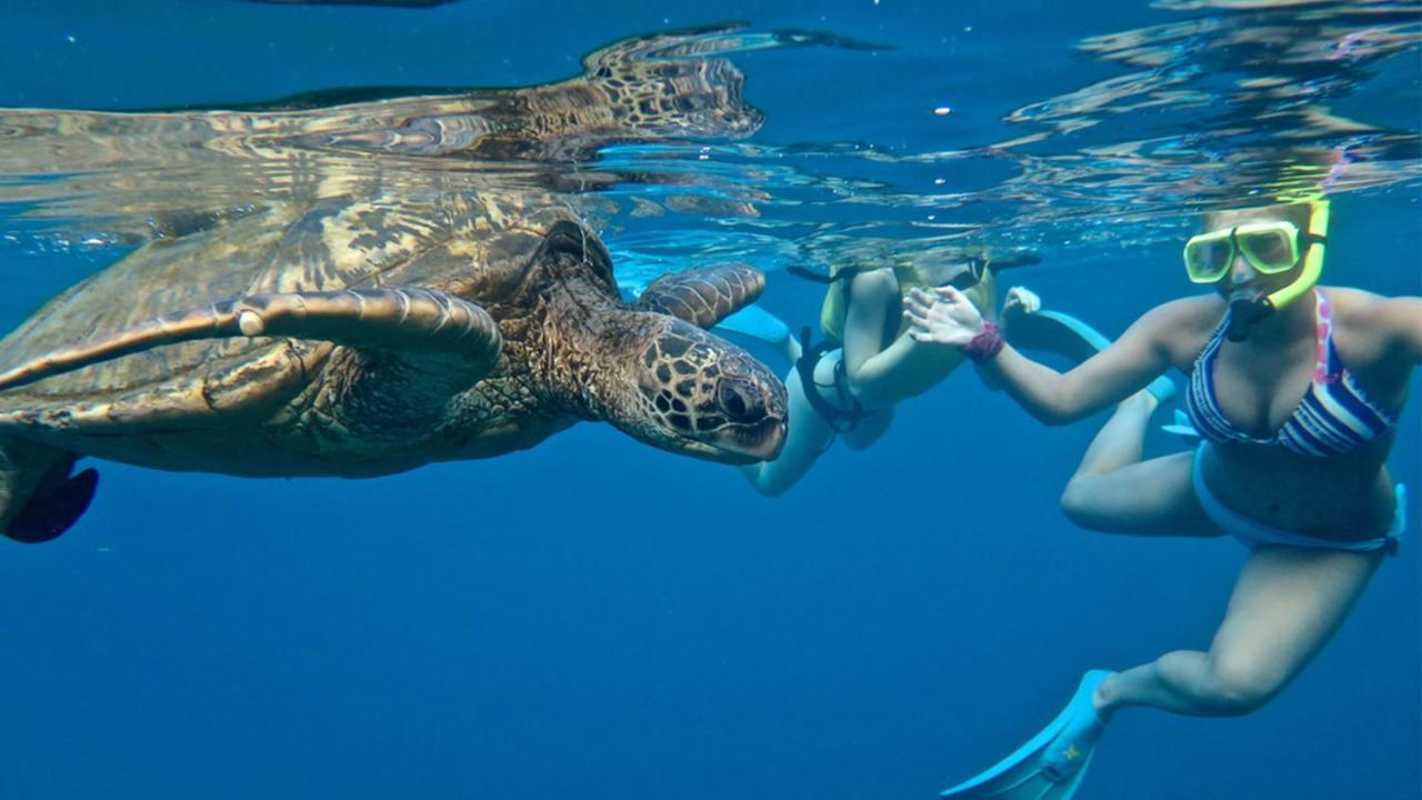 Holiday Inn Resort Kandooma Maldives - Kids Stay & Eat Free And Dive Free For Certified Divers For A Minimum 3 Nights Stay Guraidhoo  Esterno foto